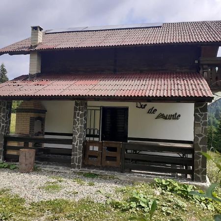 La Cabana Băile Borşa Εξωτερικό φωτογραφία