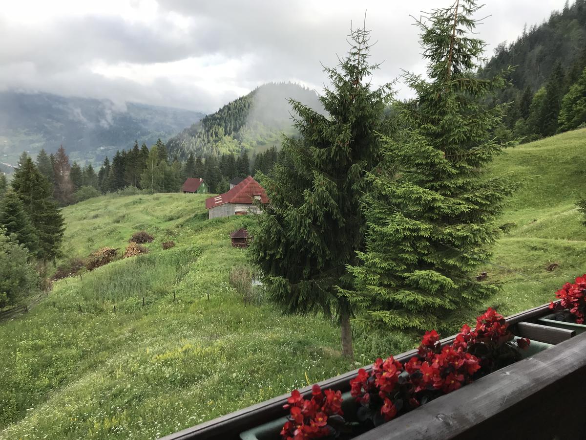 La Cabana Băile Borşa Εξωτερικό φωτογραφία